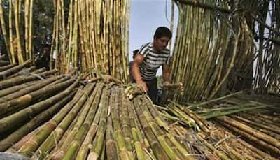Cabinet approves assistance of about Rs 3,500 crore for sugarcane farmers
