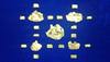 In Chennai, 1.7kg pure gold worth Rs. 87.6 lakhs seized from Dubai returnees