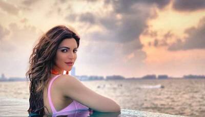 Shama Sikander takes to pole dancing in Dubai, shares video 