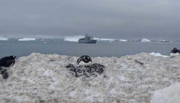 Coronavirus now reaches Antarctica, the last continent previously COVID-19 free