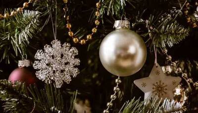 Christmas 2020: Know why people decorate Christmas tree on December 25 every year