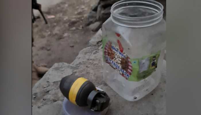 Terror associate arrested in Jammu and Kashmir's Pulwama, explosive recovered