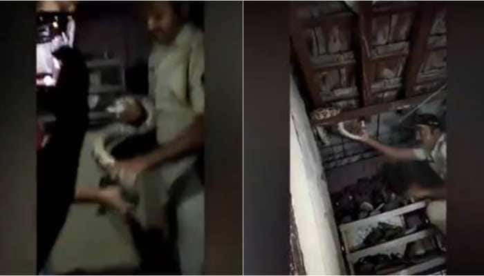Brave Mumbai cop catches python with bare hands, check out viral video Brave Mumbai cop catches python with bare hands, check out viral video