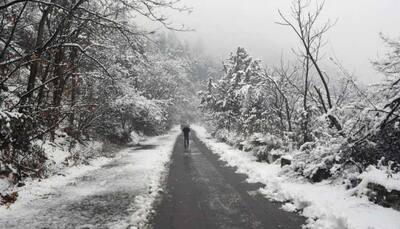 Heavy snowfall in Kashmir valley disrupts traffic movement