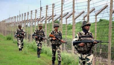 ISI pushing terrorist groups to infiltrate into Jammu region; BSF on high alert