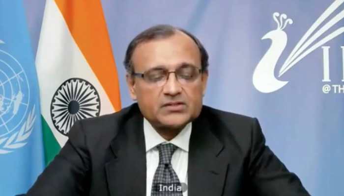 At UNSC, India warns of Syrian chemical weapons falling into hands of terrorists