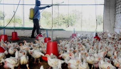 Centre deploys multi-disciplinary teams to Avian Influenza affected districts in Kerala, Haryana