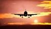 India, UK resume flight operations amid concerns over new COVID-19 strain, first flight carrying passengers arrives in Delhi