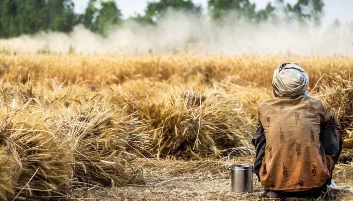 ‘Kisan Rail’ services may be expanded in Union Budget 2021 to reach farmers