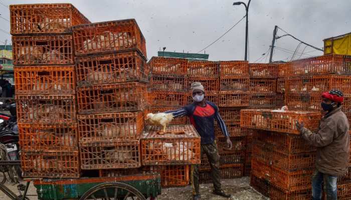 Is it safe to cook chicken in microwave oven amid bird flu scare? Check here