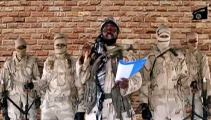 At UNSC, India expresses concerns over acts of terrorism by Boko Haram, Islamic State in West Africa