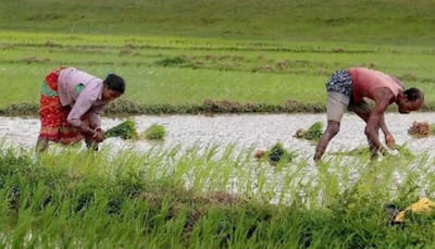 Budget 2021: Industry experts seek additional funds, incentives for agriculture sector