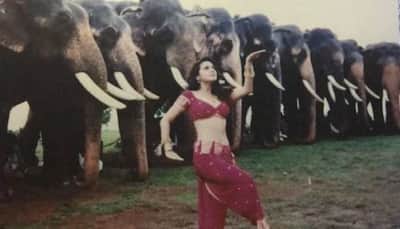 Preity Zinta shares her favourite photo from ‘Dil Se’ shoot, wonders what the elephants were thinking