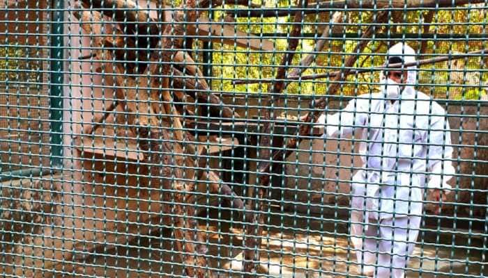 Bird flu confirmed in brown fish owl found dead in Delhi zoo; check details