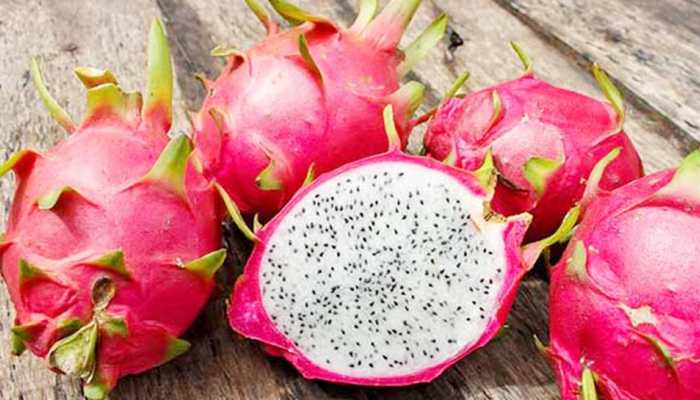 Gujarat renames dragon fruit as &#039;Kamalam&#039;, CM Vijay Rupani gives this reason