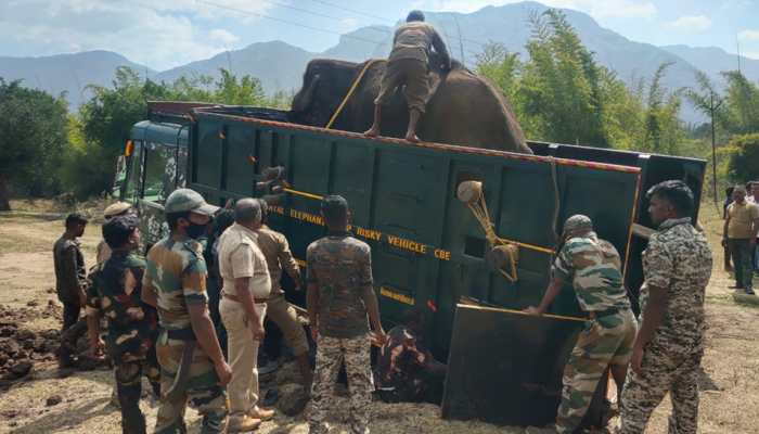 Video: Man cries bitterly after elephant's death; this will leave you emotional