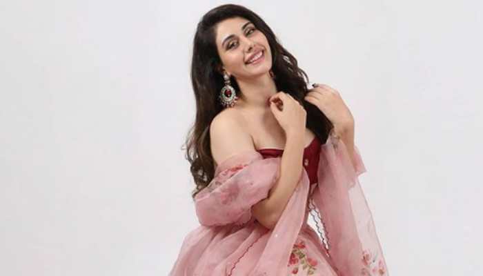 Loveyatri actress Warina Hussain bags a South film? Here's what we know