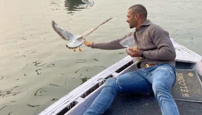 Chargesheet filed against Shikhar Dhawan in Varanasi court for flouting bird-flu guidelines