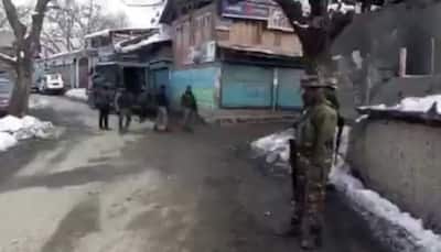 Three terrorists killed in Jammu and Kashmir's Pulwama, arms and ammunition recovered