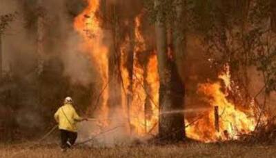 Raging Australian bushfire destroys dozens of homes