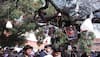 Did you know Delhi's Hindu College students worshipped 'Virgin Tree' on Valentine's Day, decorated it with condoms?