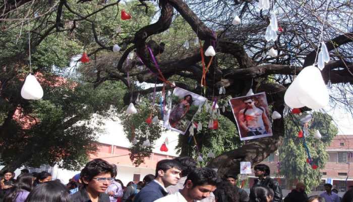 Did you know Delhi's Hindu College students worshipped 'Virgin Tree' on Valentine's Day, decorated it with condoms?