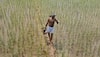 Loan waiver