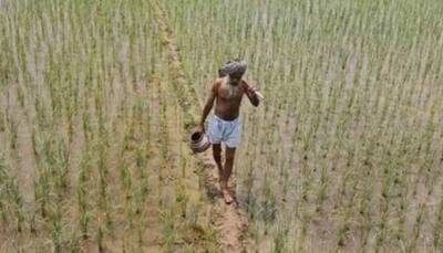 CM Palaniswami announces crop loan waiver worth Rs 12k crore in Tamil Nadu