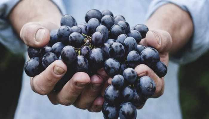 New study reveals grape consumption may protect skin against UV damage