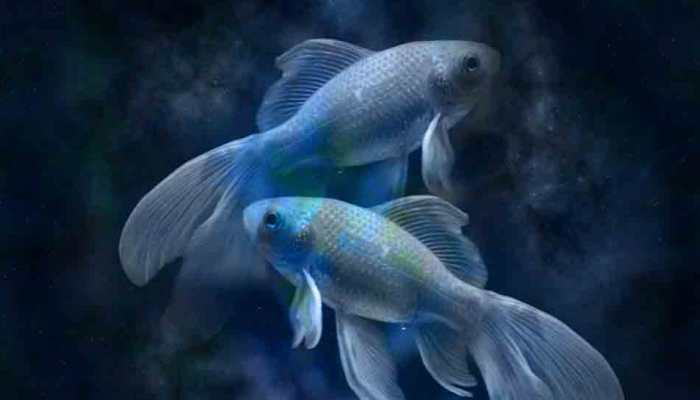 Horoscope for February 7 by Astro Sundeep Kochar: Pisceans should think before building relations