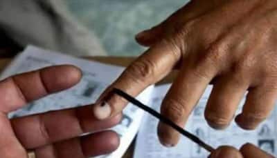 Andhra Pradesh Gram Panchayat elections underway; check Phase 1 poll districts 