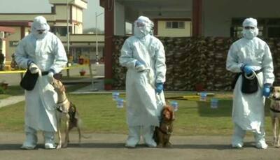First in India! Army uses dogs to detect COVID-19: WATCH
