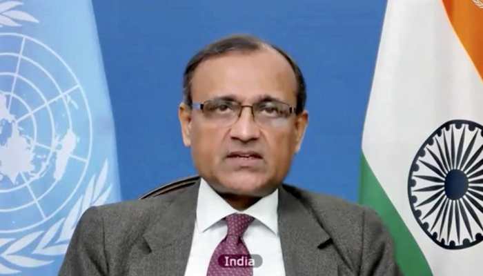 At UNSC, India highlights Pakistan's link with Al Qaeda, Islamic State in South Asia