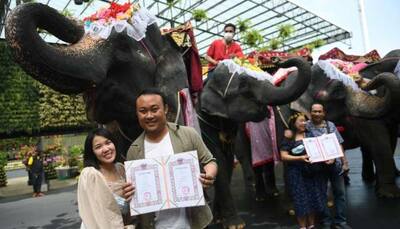 Valentine's Day: Couples in Thailand tie the knot on elephants - See pics