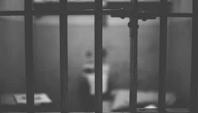Over 1.32 lakh prison inmates in India 'illiterate', 5,677 'techies': Government data
