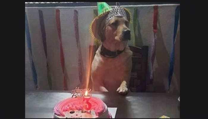 Dog part of Donald Trump&#039;s security drill turns three; Muzaffarnagar police celebrate birthday