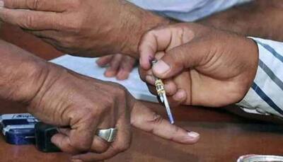 Andhra Pradesh: Third phase gram panchayat election to be conducted on February 17