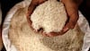 India's rice exports grow as additional Kakinada deepwater port opened