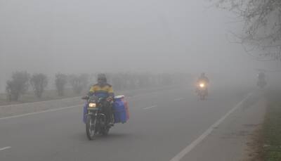 Dense fog engulfs Delhi even as maximum temperature nears 30 degrees Celsius