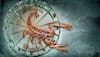 Horoscope for February 22 by Astro Sundeep Kochar: Scorpions should socialize, Pisceans should stick to their ground