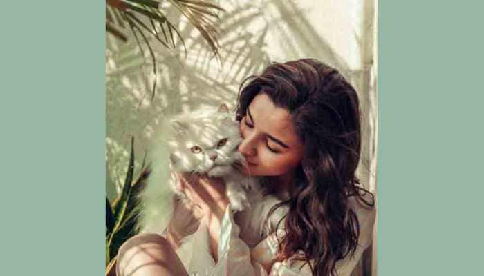 Alia Bhatt shares sun-kissed photo with her fluffy cat, sister Shaheen is all heart