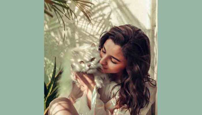 Alia Bhatt shares sun-kissed photo with her fluffy cat, sister Shaheen is all heart