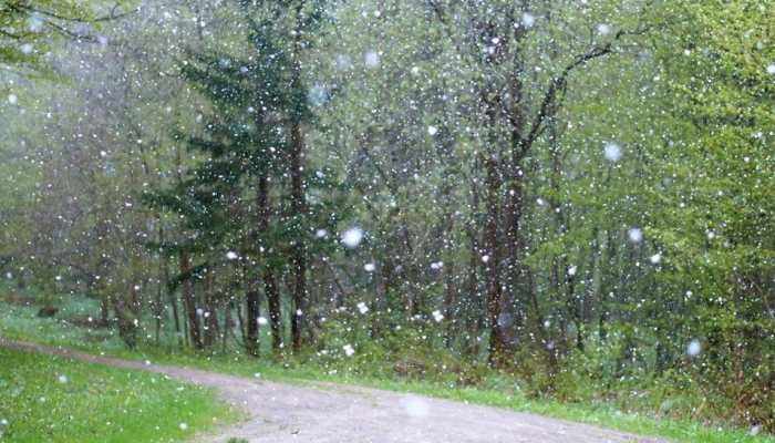 IMD warns of rain, hailstorm due to western disturbances in parts of north India, issues alert