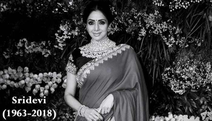 On Sridevi&#039;s death anniversary, let&#039;s go back in time and cherish her family album!