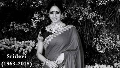 On Sridevi's death anniversary, let's go back in time and cherish her family album!