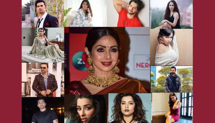 Sridevi death anniversary: TV stars share iconic actress&#039;s one film that remains closest to their heart!