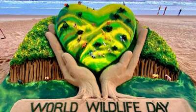 World Wildlife Day 2021: Sudarsan Pattnaik shares breathtaking sand art creation!