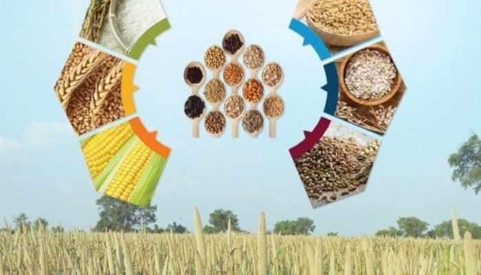 UNGA adopts India-backed resolution to declare 2023 as International Year of Millets, PM Narendra Modi expresses gratitude