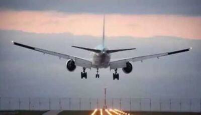 ‘Disruptive’ Indian passenger forces Air France flight to make emergency landing in Bulgaria 