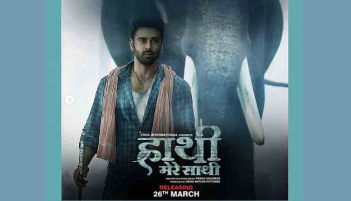 Pulkit Samrat tags his character Shankar in 'Haathi Mere Saathi' as 'yeda dimaag'